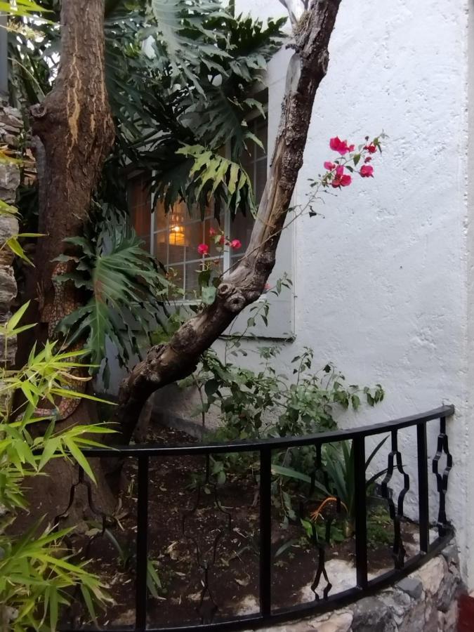 圣米格尔－德阿连德Pied A Terre At Casitas Aparicio别墅 外观 照片