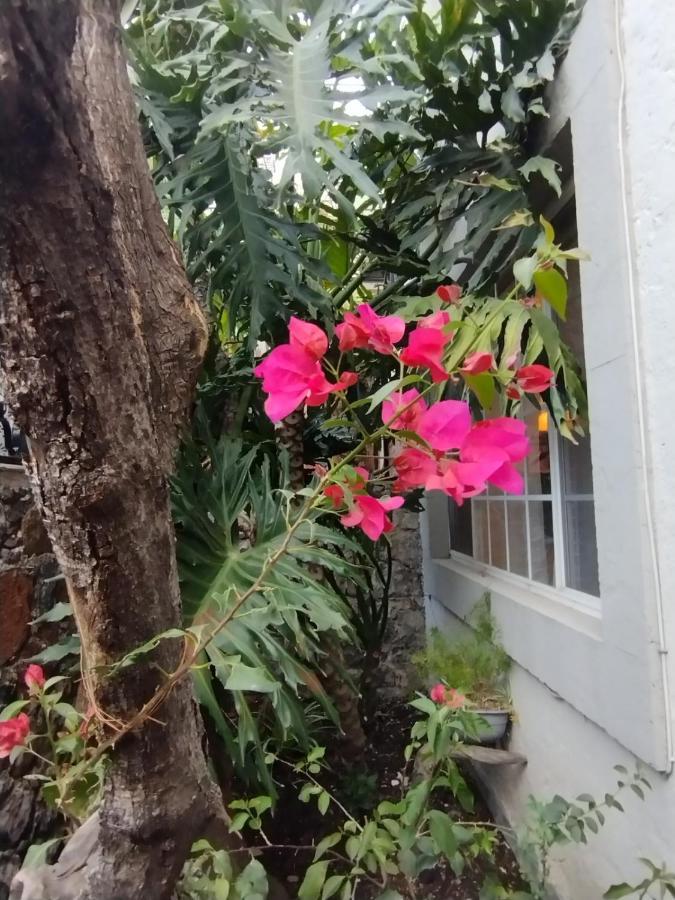 圣米格尔－德阿连德Pied A Terre At Casitas Aparicio别墅 外观 照片