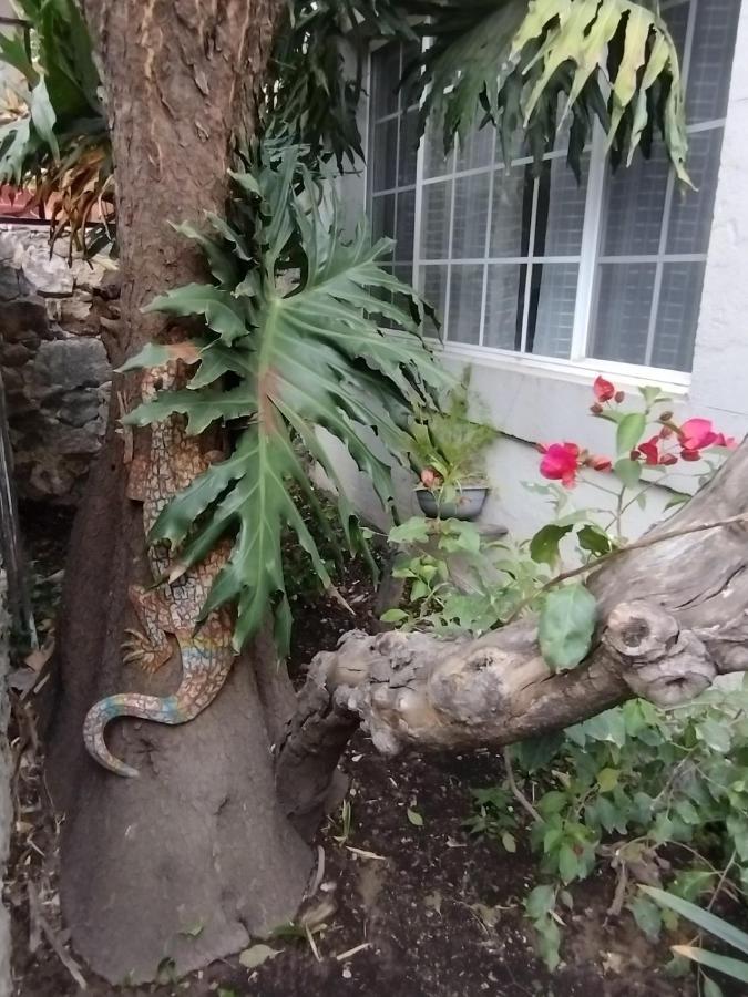 圣米格尔－德阿连德Pied A Terre At Casitas Aparicio别墅 外观 照片